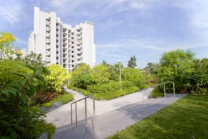 Rooftop Garden