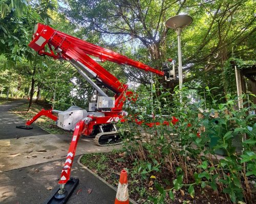 Tree Pruning