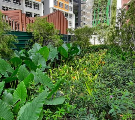 Plant Maintenance @ ABC Garden