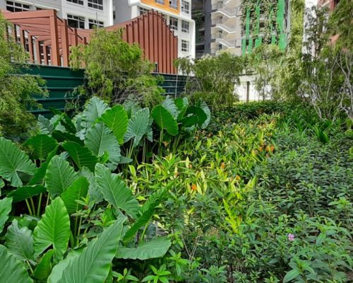 Plant Maintenance @ ABC Garden