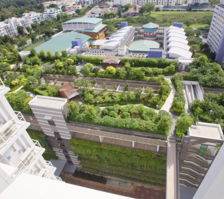 Vertical Green Wall @ Roof Garden