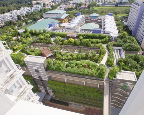 Vertical Green Wall @ Roof Garden