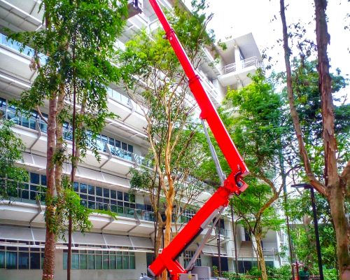 Tree Pruning