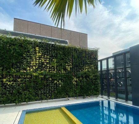 Vertical Green Wall @ 182 Clemenceau