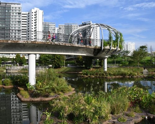 Wetland floater @ Punggol