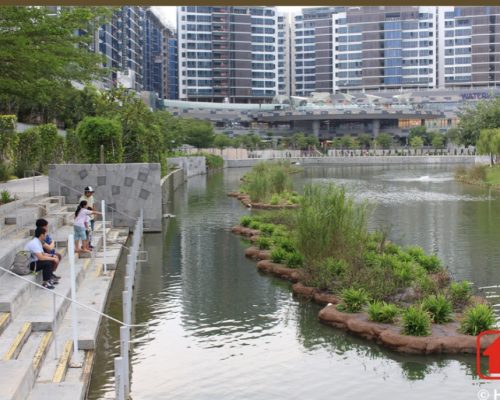 Wetland floater @ Punggol