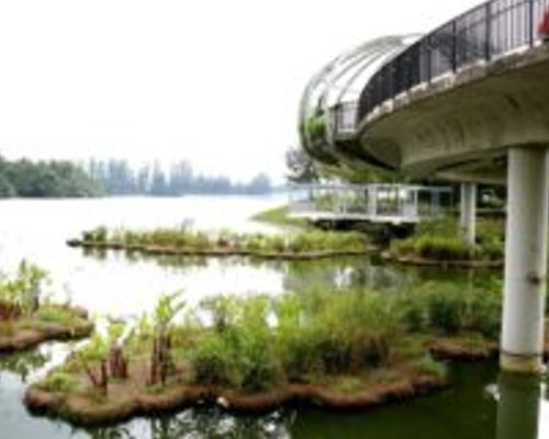 Wetland floater @ Punggol