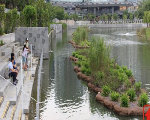 Wetland floater @ Punggol