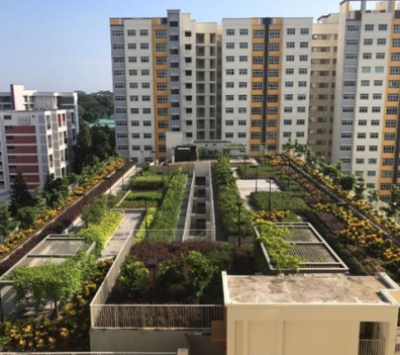 Rooftop Garden