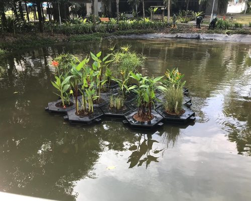 Wetland floater @ Ngee Ann Poly