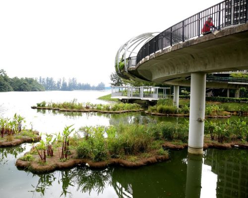 Wetland floater @ Waterway Point