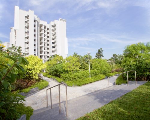 Rooftop Garden